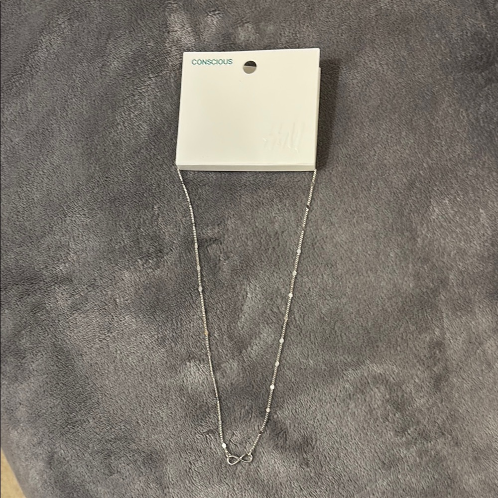 H&M Delicate Silver Chain Necklace